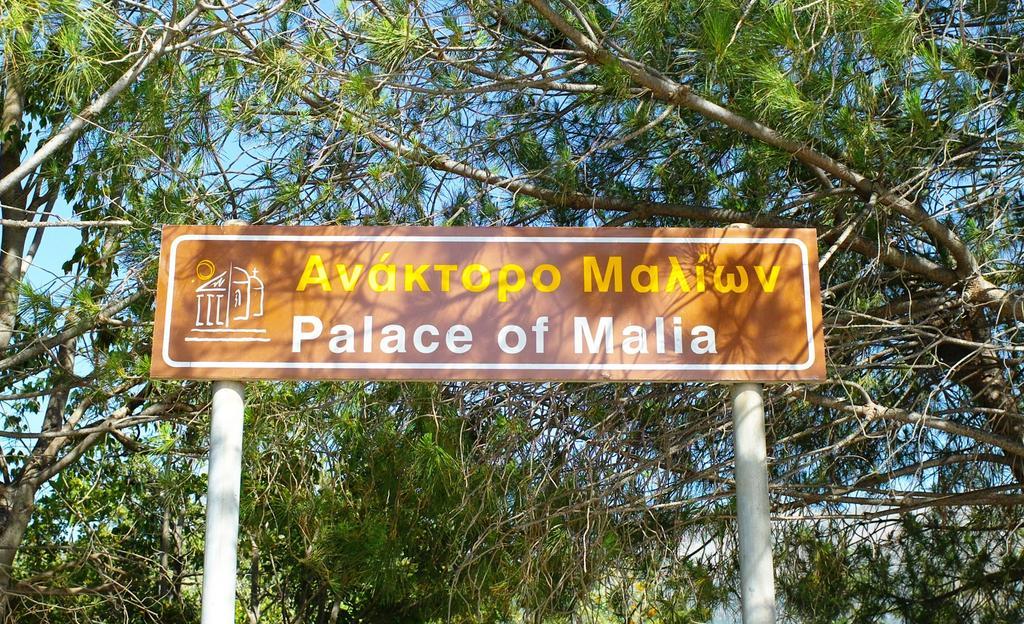 Selena View Studios Malia Exterior foto